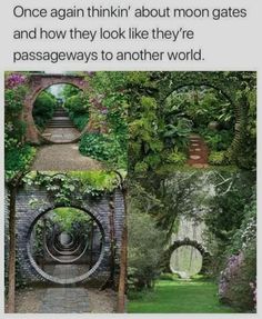 an image of the inside of a garden with text that reads, once again you can't think about moon gates and how they look like they're passaways to another world