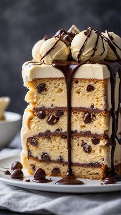 a piece of cake on a plate with chocolate sauce drizzled over it