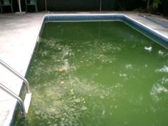 an empty swimming pool with green algae in it