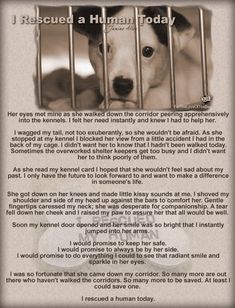 a dog in a cage with the words i rescue a human today