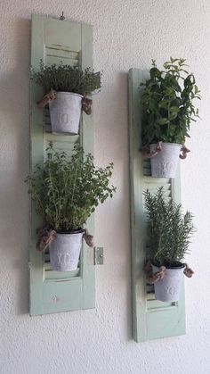 two potted plants are hanging on the wall