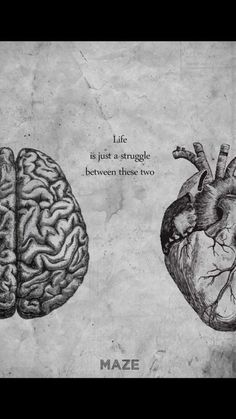 two drawings of the human heart and brain