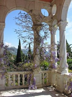 an outdoor gazebo with purple flowers growing on the pillars and around it, surrounded by greenery