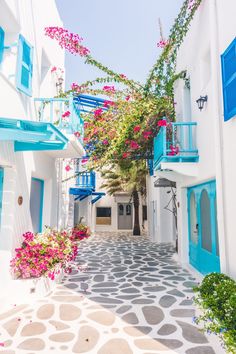 an alleyway with blue and white buildings and flowers growing on the side walls,