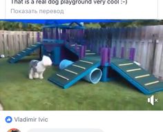 a dog is standing in the grass next to a playground set and another dog is looking at it