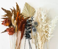 dried flowers and leaves on a white background with an arrangement of fan shaped stems in the foreground