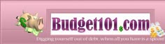 the logo for budget 101 com is shown in purple and green letters on a pink background