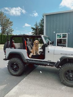 a dog sitting in the driver's seat of a jeep