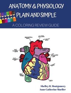 anatomy and physoloy plan and simple coloring book