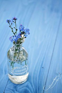 blue flowers are in a clear glass bottle