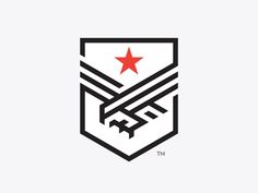 the emblem for an organization that has been designed to look like a shield with a star on