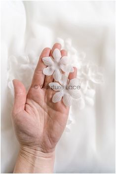 a person's hand holding three white flowers in their palm on a white background