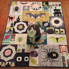 a cat sitting on top of a patchwork quilt with bats and spider webs