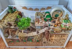 a display case filled with lots of different types of plants and animals in it's habitat