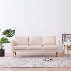 a living room with a couch, potted plant and other items on the floor