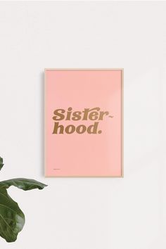 a pink poster with the words sisterhood on it next to a potted plant