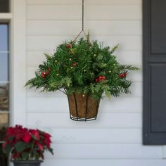 a potted plant hanging from the side of a house with christmas lights on it