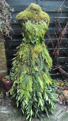 a very tall green plant sitting in the middle of a yard