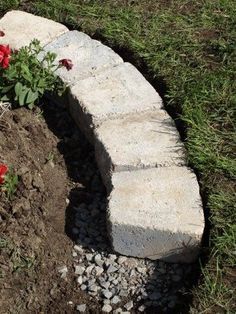 an image of a flower bed in the middle of some dirt and grass with flowers growing out of it