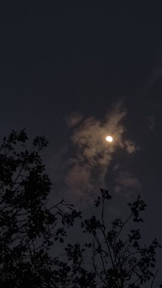 the moon is shining brightly in the night sky above some tree branches, with dark clouds behind it