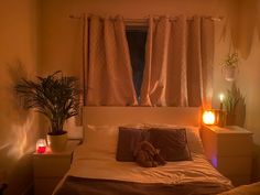 a teddy bear sitting on top of a bed next to two candles and a potted plant