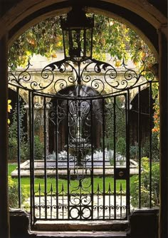 an iron gate with a fountain in the background