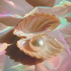 two seashells sitting on top of a pink and white cloth with iridescent colors