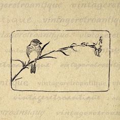 a drawing of a bird sitting on a branch