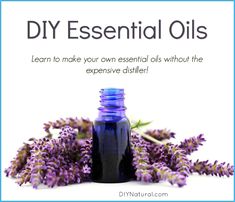 Make Your Own Essential Oils, Lavender Candles Diy, Essential Oil Still, Homemade Extracts, Savon Diy, Oil Extraction, Homemade Essential Oils, Mint Essential Oil, Diy Essential Oil Recipes