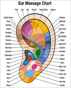 Ear Reflexology, Ear Massage, Hand Reflexology, Reflexology Chart, Diagram Chart, Reflexology Massage, Foot Reflexology, Shiatsu Massage, Sciatic Nerve