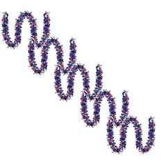 the word ohoh spelled with small red, white and blue dots on a white background