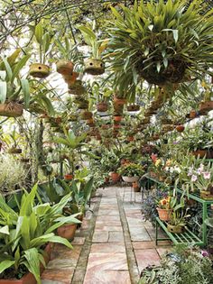 a garden filled with lots of potted plants next to a walkway covered in hanging planters