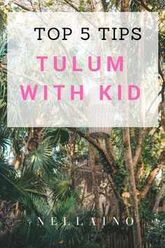 palm trees with text overlay that reads top 5 tips to tulm with kids