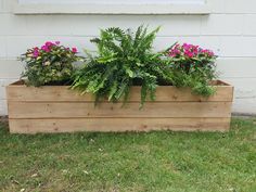 a wooden planter filled with lots of plants