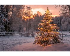 a small christmas tree is lit up in the middle of a snow covered field at sunset