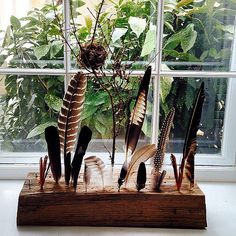 several feathers are arranged on a wooden block in front of a window with green plants