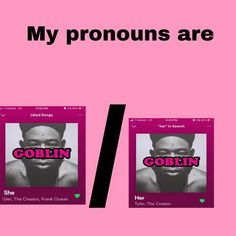 two pink posters with the words'my pronouns are '