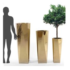 three gold vases with a small tree in one and a man standing next to them