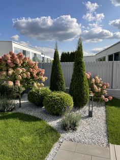 a small garden with some bushes and flowers