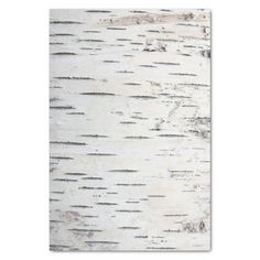 white birch tree bark textured paper