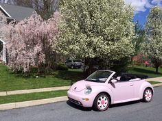 a pink convertible car parked on the side of a road next to a flowering tree