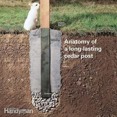 an animal is sitting on top of a post in the ground next to some dirt