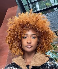 Golden Copper, Dyed Natural Hair, Goddess Hairstyles, Beautiful Curly Hair, Hairdos For Curly Hair, Curly Girl Method, Coily Hair, Copper Hair, Orange Hair