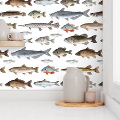 the fish wallpaper in this kitchen is very colorful and has many different types of fish on it