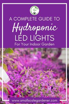 the complete guide to hydroponic led lights for your indoor garden with text overlay