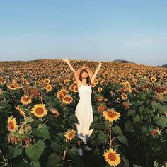 a woman standing in the middle of a field of sunflowers with her arms up