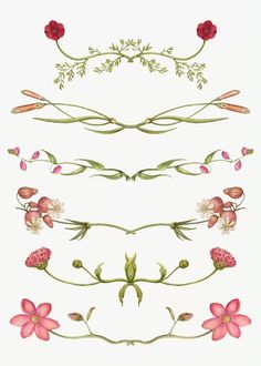 an image of flowers and leaves on a white background, set of four different designs