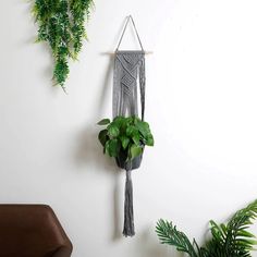 a plant hanging on the wall next to a potted plant and a wooden bench