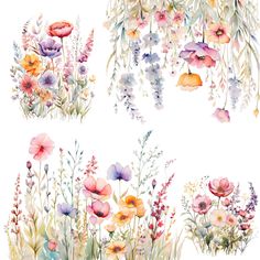 watercolor flowers and plants on a white background