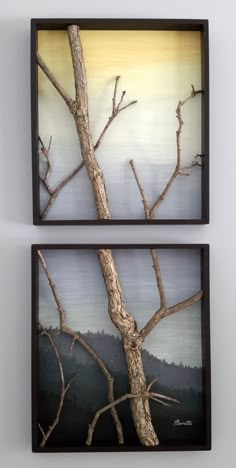 two framed pictures with trees in them on the wall next to each other and one has a bird perched on it's branch